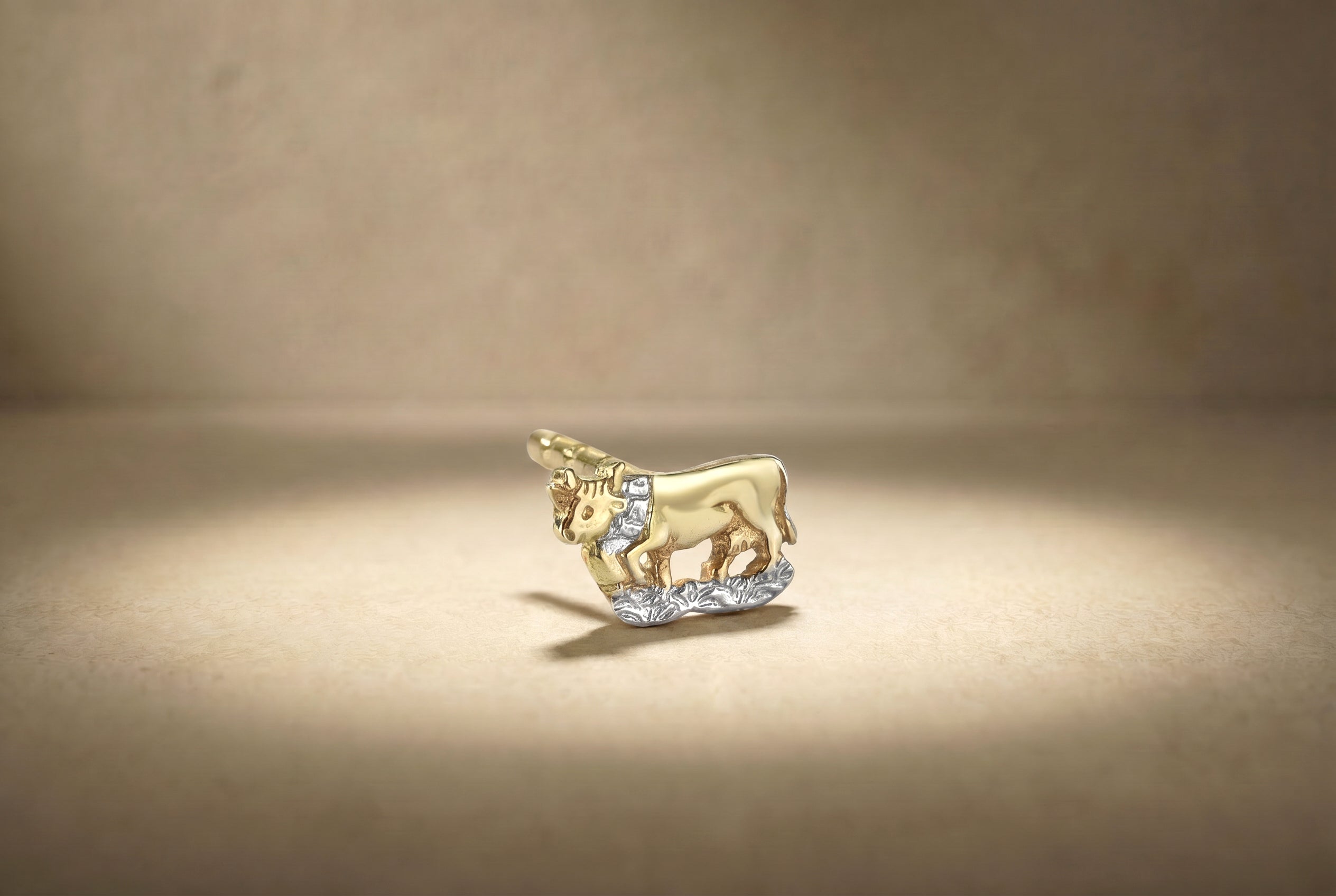 Herren - Ohrschmuck - Ohrstecker Motiv
