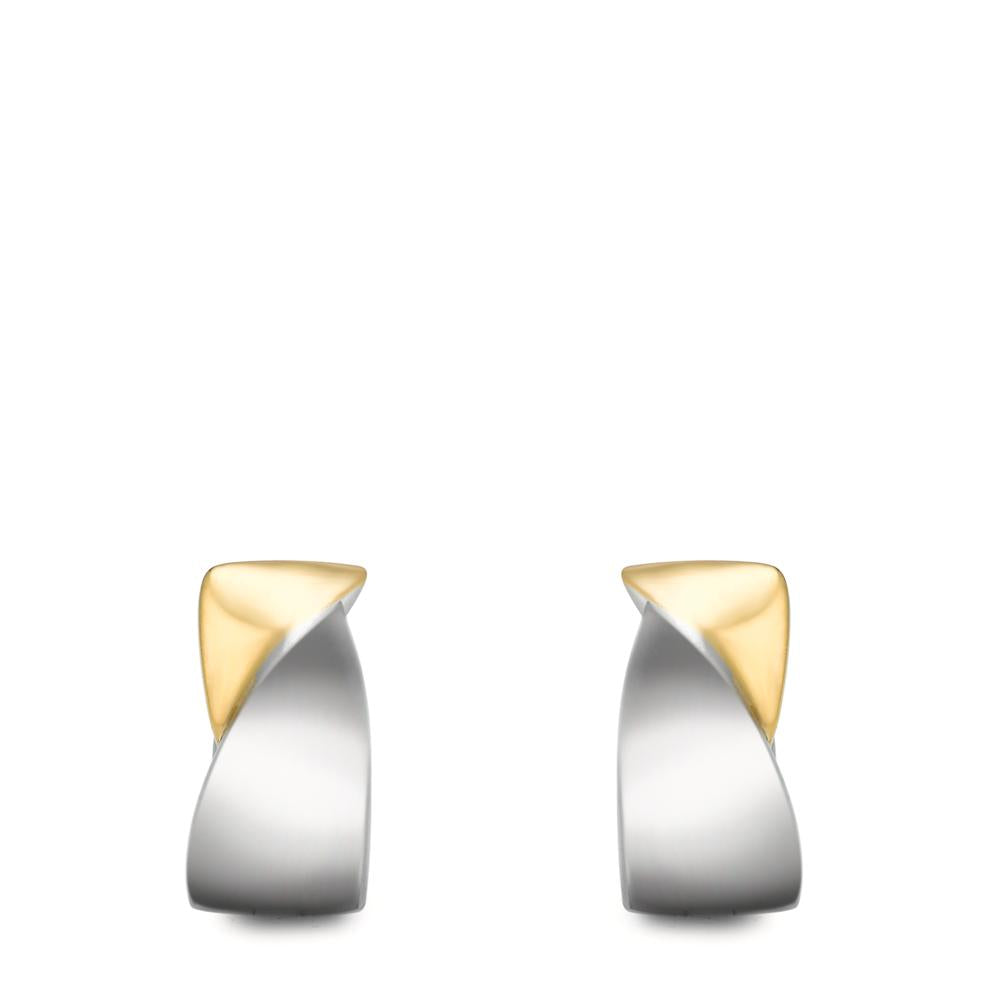 Orecchini circolari Acciaio inossidabile bicolore rivestimento IP