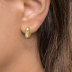 Orecchini circolari Argento giallo dorato