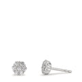 Ohrstecker Silber Zirkonia 14 Steine rhodiniert Blume