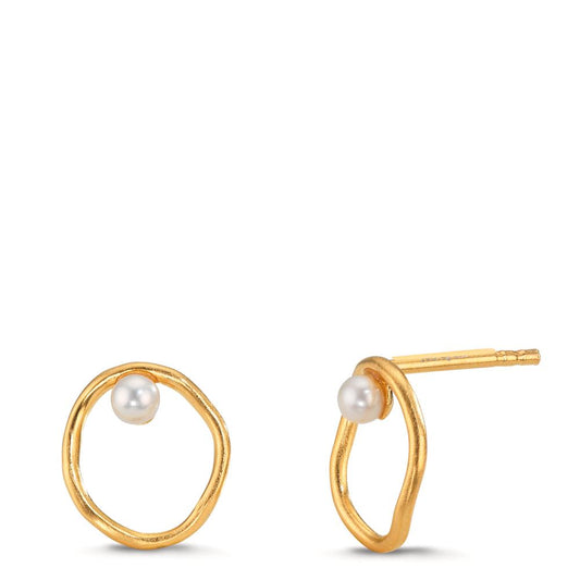Orecchini a bottone Argento giallo dorato Perla coltivata d'acqua dolce bianco, 2 Perla, 3 mm Ø11 mm
