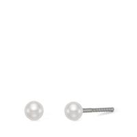 Ohrstecker Titan Austrian pearls-570532