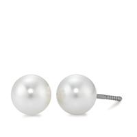 Ohrstecker Titan Austrian pearls