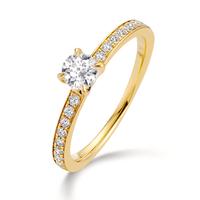 Solitär Ring 750/18 K Gelbgold Diamant 0.50 ct, 19 Steine, w-si